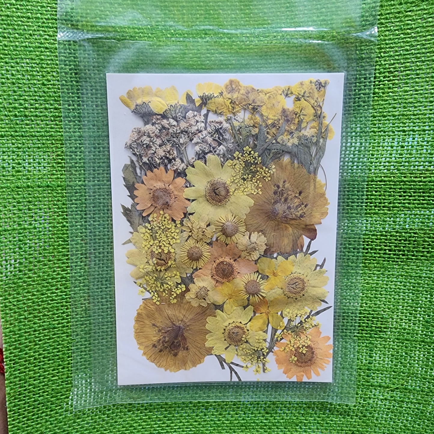 Natural Dried Flower