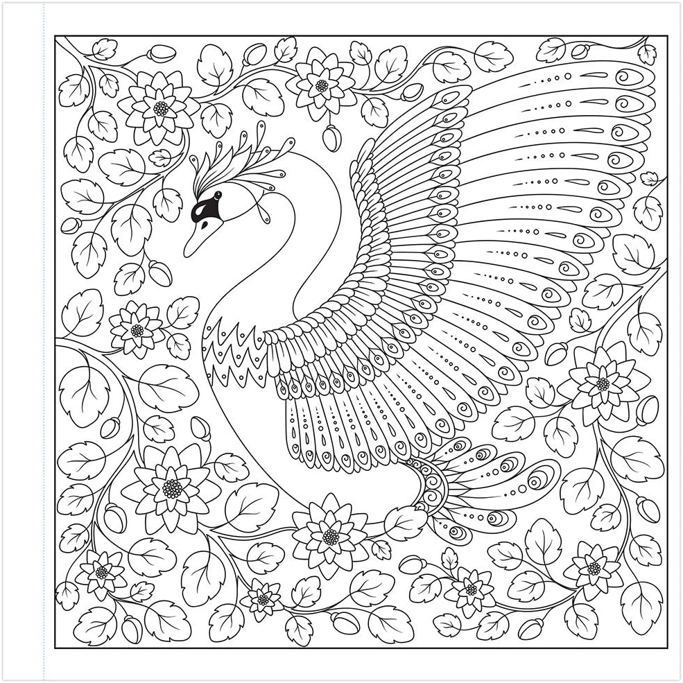Navneet Adult Colouring Book - Amazing Animals And Birds