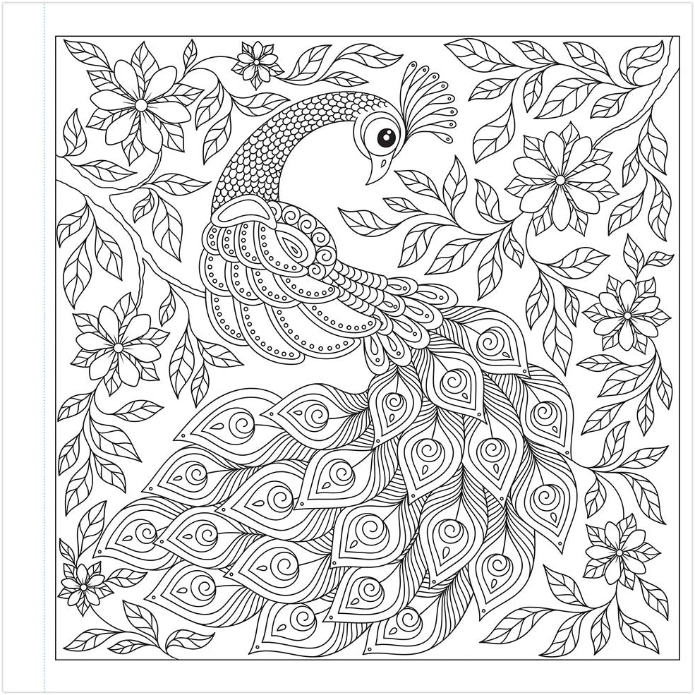 Navneet Adult Colouring Book - Amazing Animals And Birds