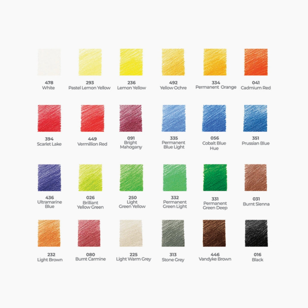 Camlin Artist Colour Pencils 24 Shades