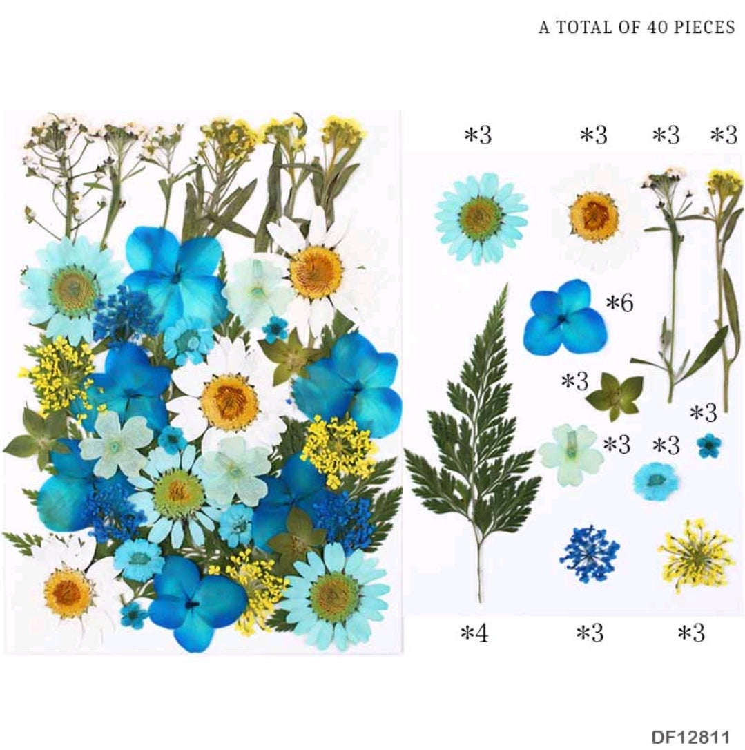 Natural Dried Pressed Flower - 6