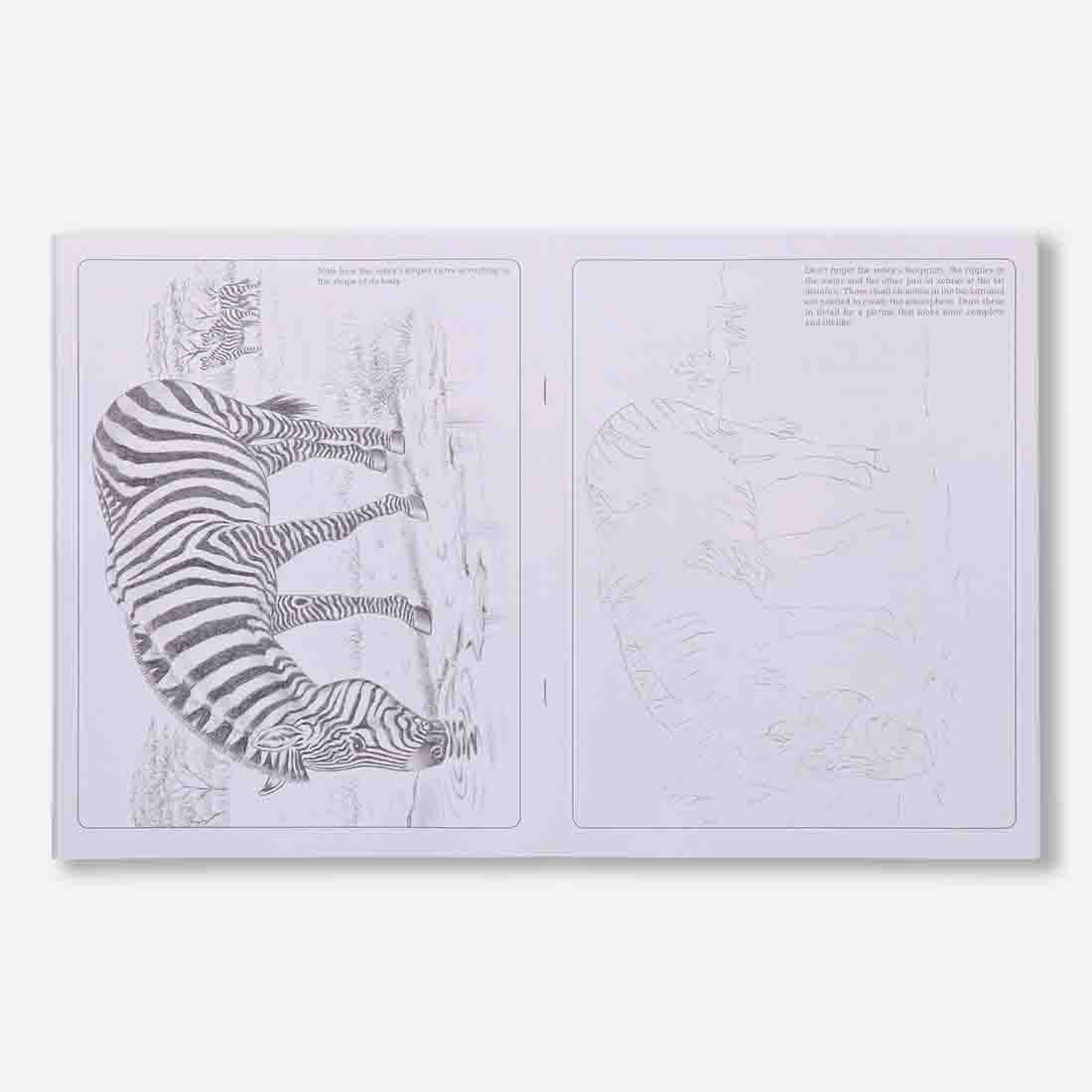 Navneet Learn Pencil Shading Animals & Birds 1 and 2 – For Elementary Art Prep – How to draw Animals and Birds - Pack of 2 Books