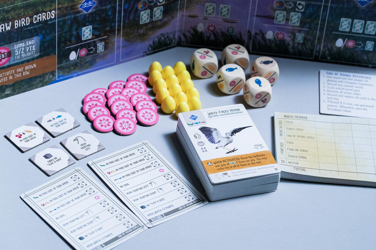 Stonemaier Games Wingspan Oceania Expansion Board Game