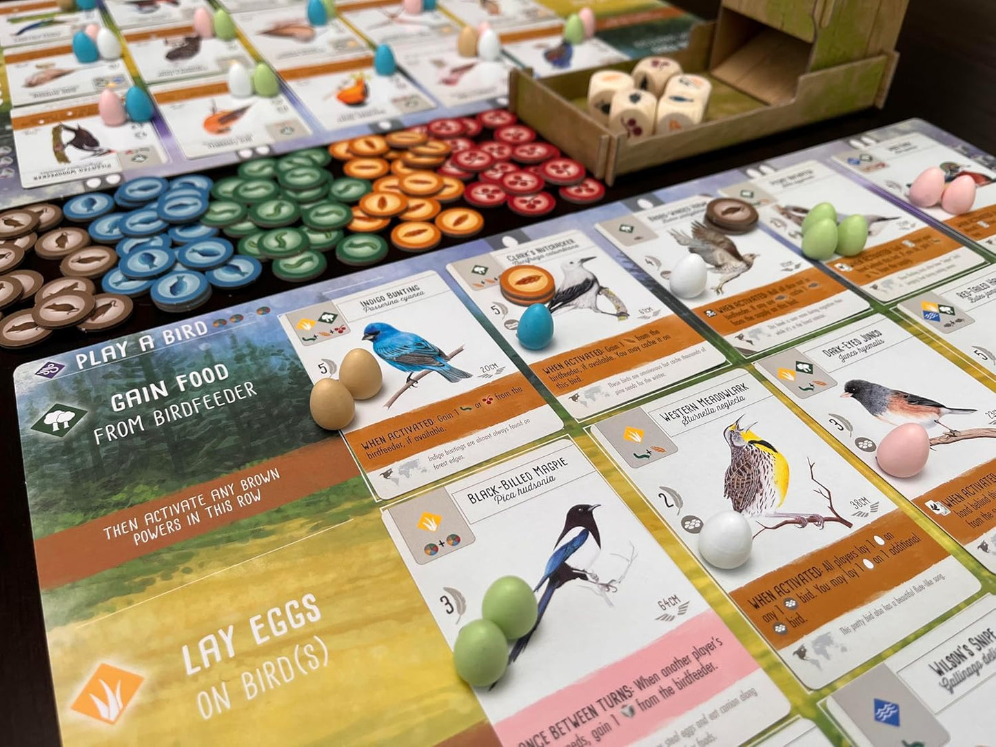 Stonemaier Games Wingspan Wuth Swift Starter Pack Board Game