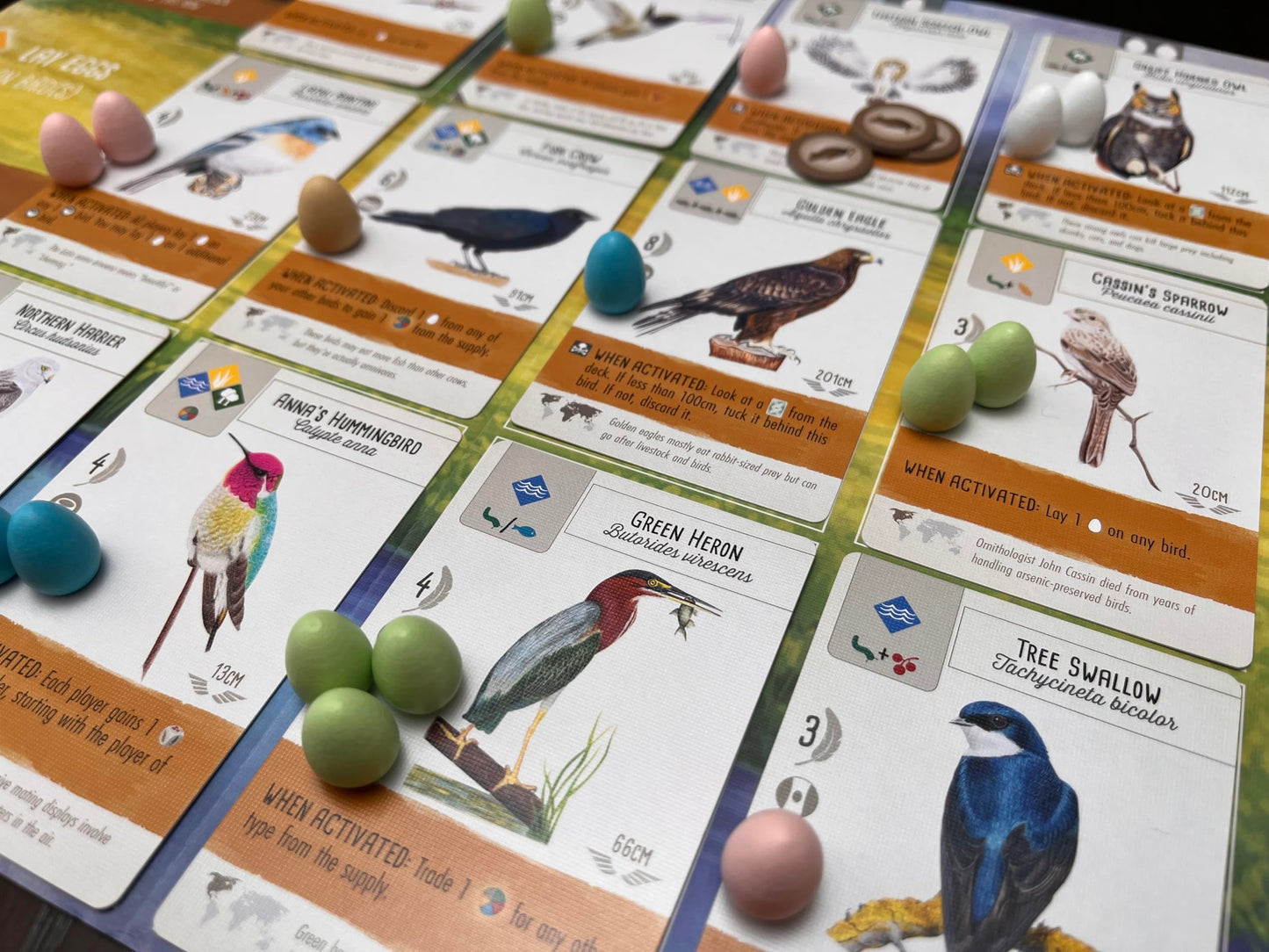 Stonemaier Games Wingspan Wuth Swift Starter Pack Board Game
