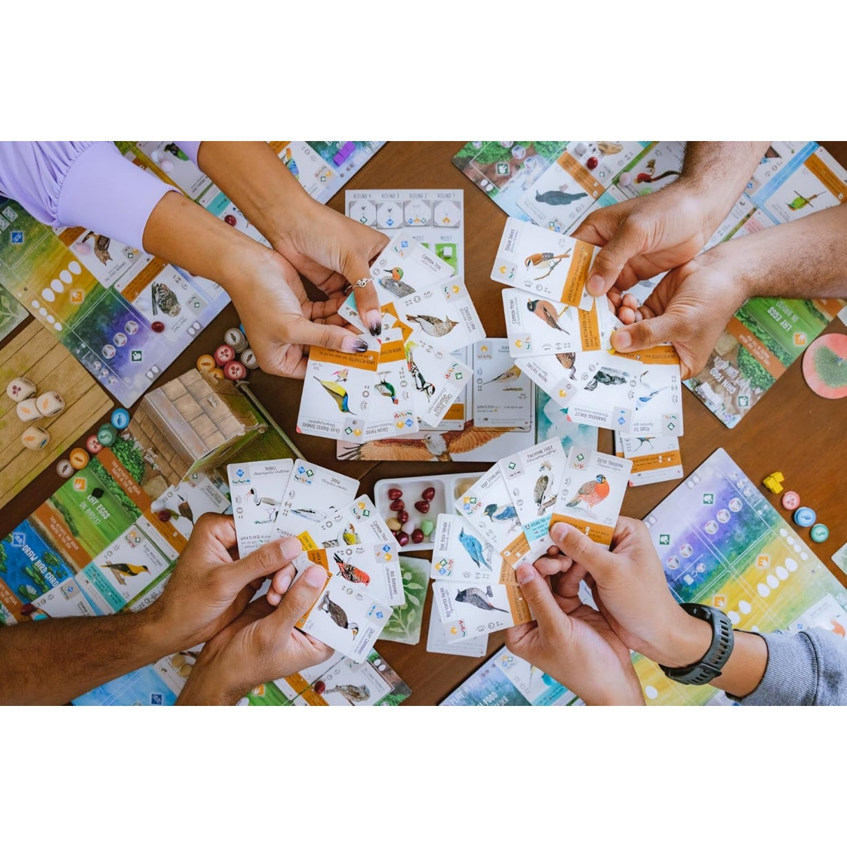 Stonemaier Games Wingspan Asia Standalone Game or Expansion to Wingspan (Base Game) Great for Solo Play or 2 Player Add to Wingspan for 6-7 Player Expansion 1-5 Player