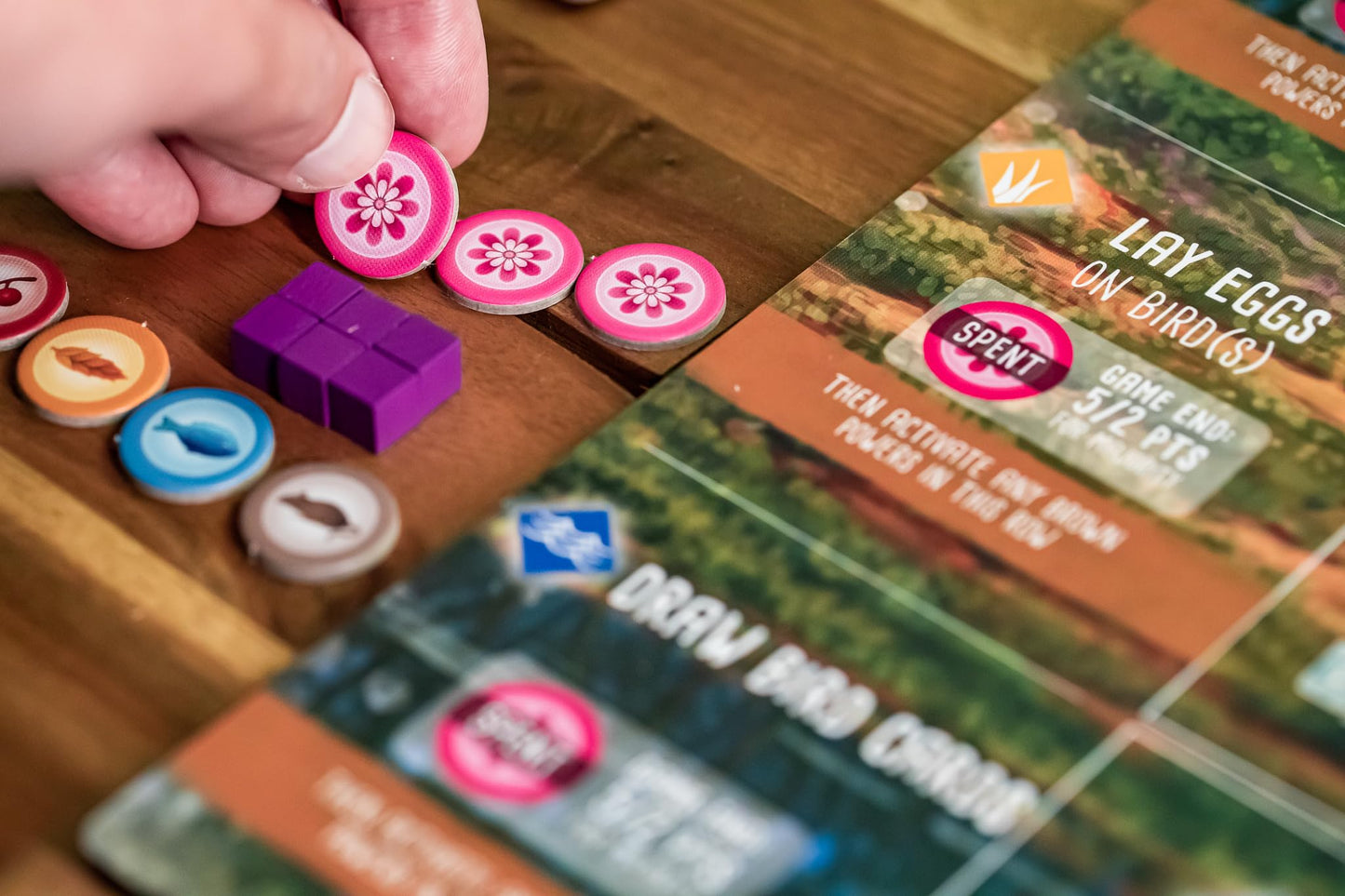 Stonemaier Games Wingspan Oceania Expansion Board Game