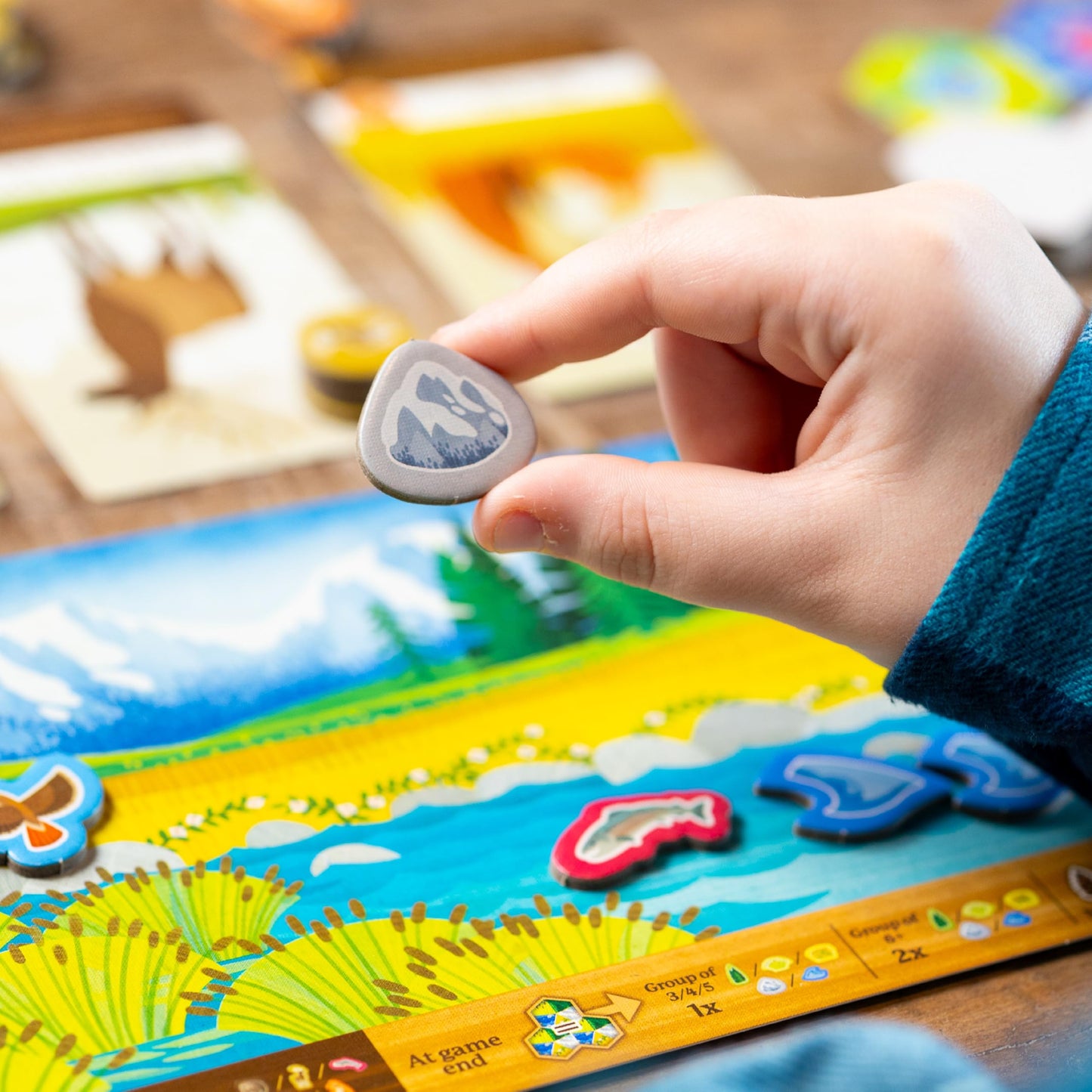 Cascadia Junior Board Game