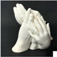 3D Moulding And Casting Powder Kit