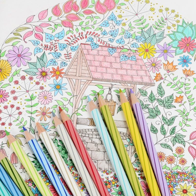 Staedtler Luna Water Colour Pencil Pack of 48 (Includes Free Items)