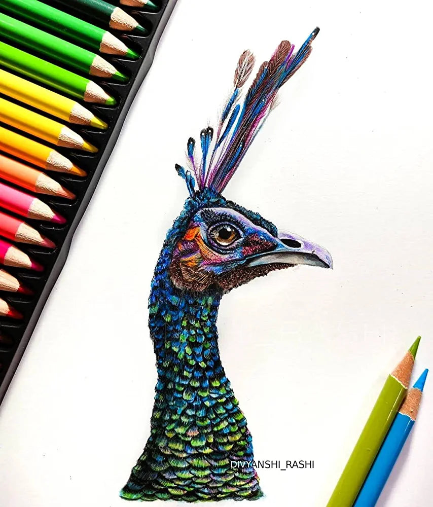 Brustro Artists’ Coloured Pencil Set