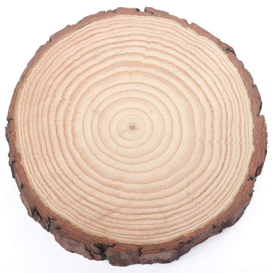 Natural Wooden Slice Round 22-25x2cm