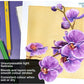 Brustro Artists Watercolour Pencil Set of 72 in Elegant tin Box