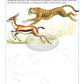 Navneet Vikas Learn To Draw Animals