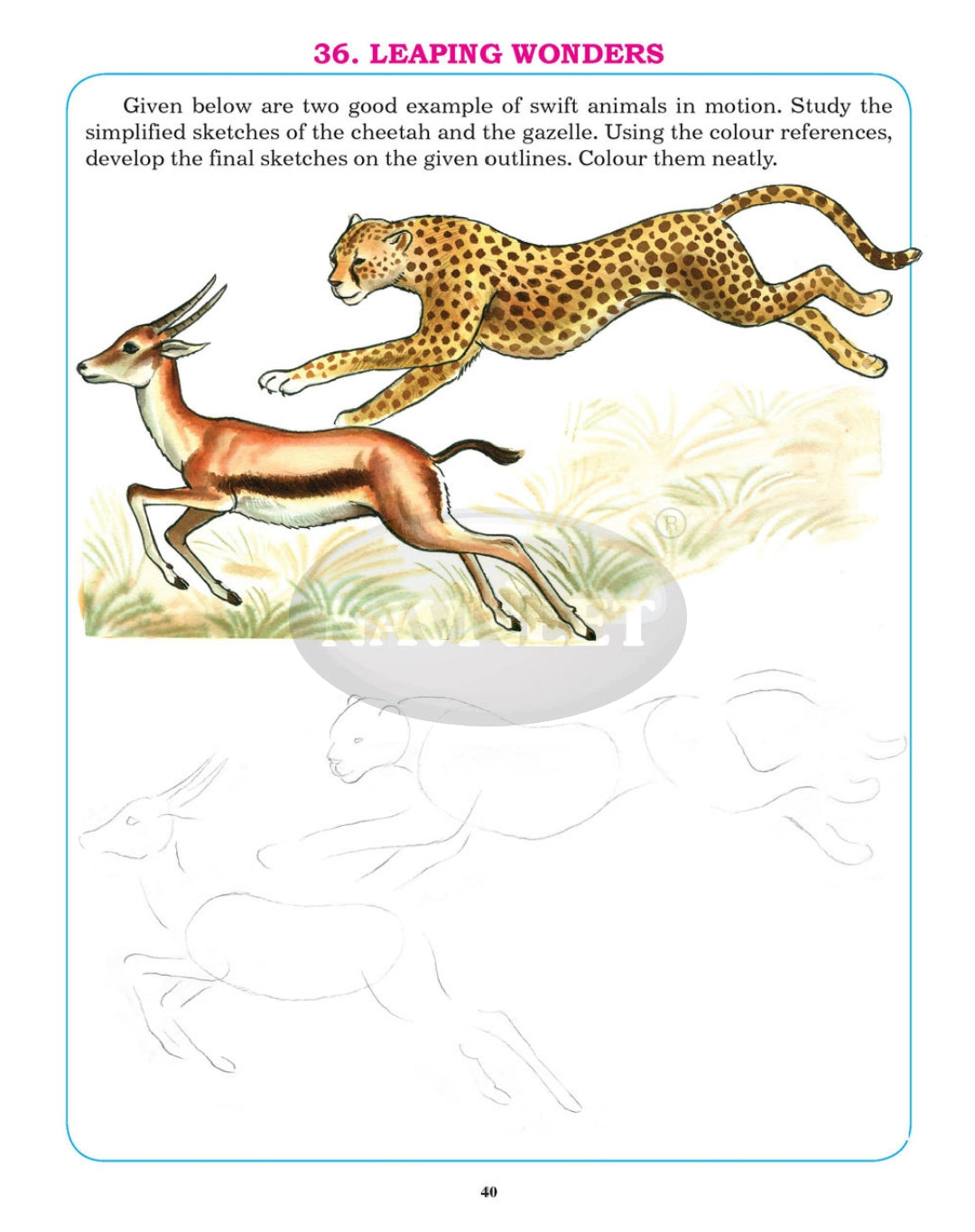Navneet Vikas Learn To Draw Animals