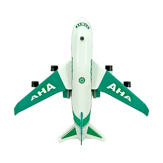 Hindal Friction Powered AHA Aeroplane