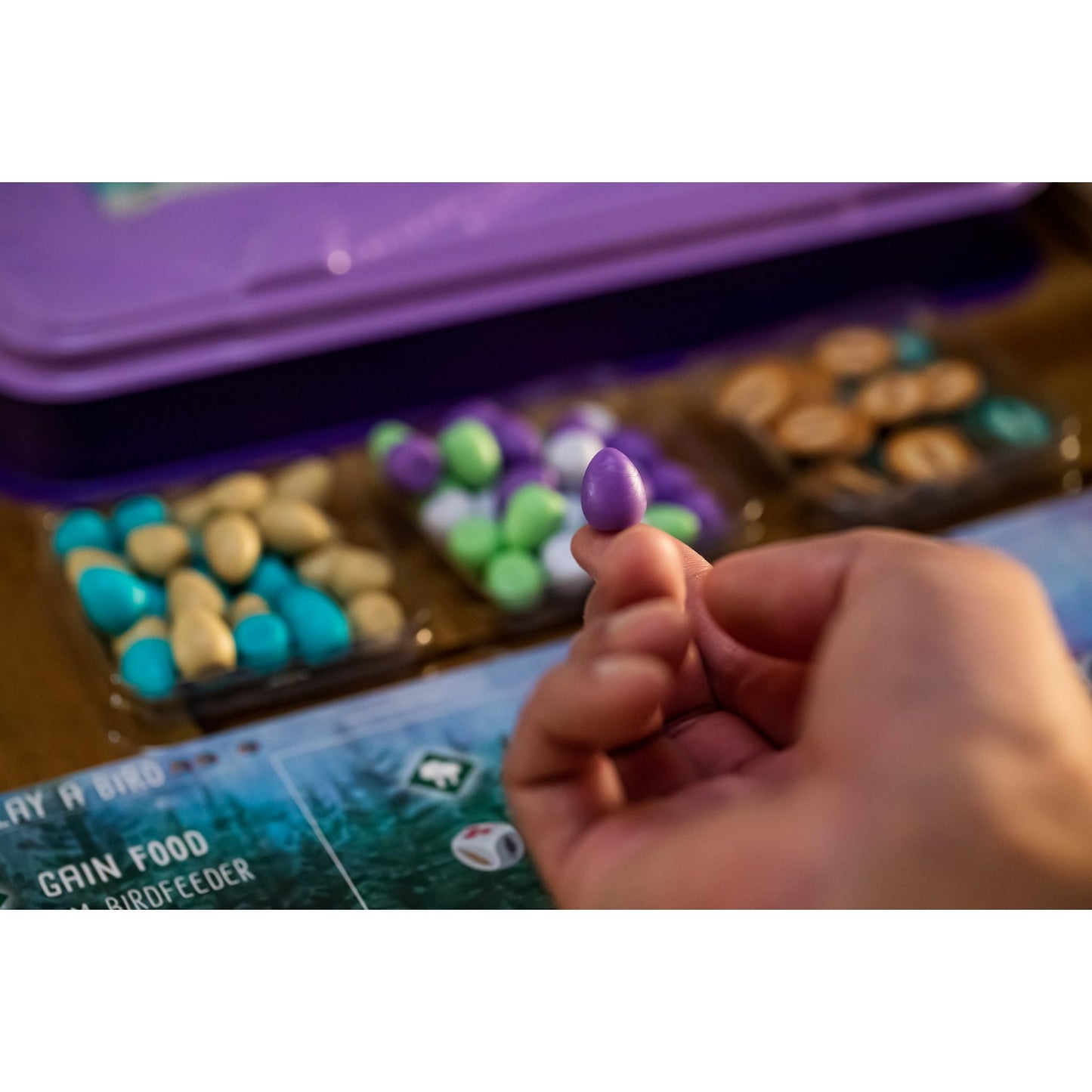 Stonemaier Games Wingspan European Expansion