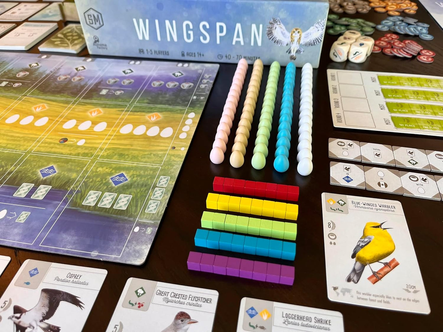 Stonemaier Games Wingspan Wuth Swift Starter Pack Board Game