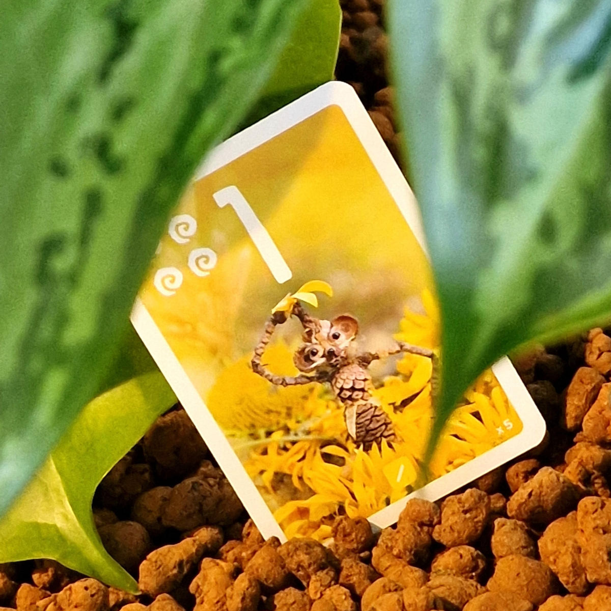 Pandasaurus Games Pixies Card Game