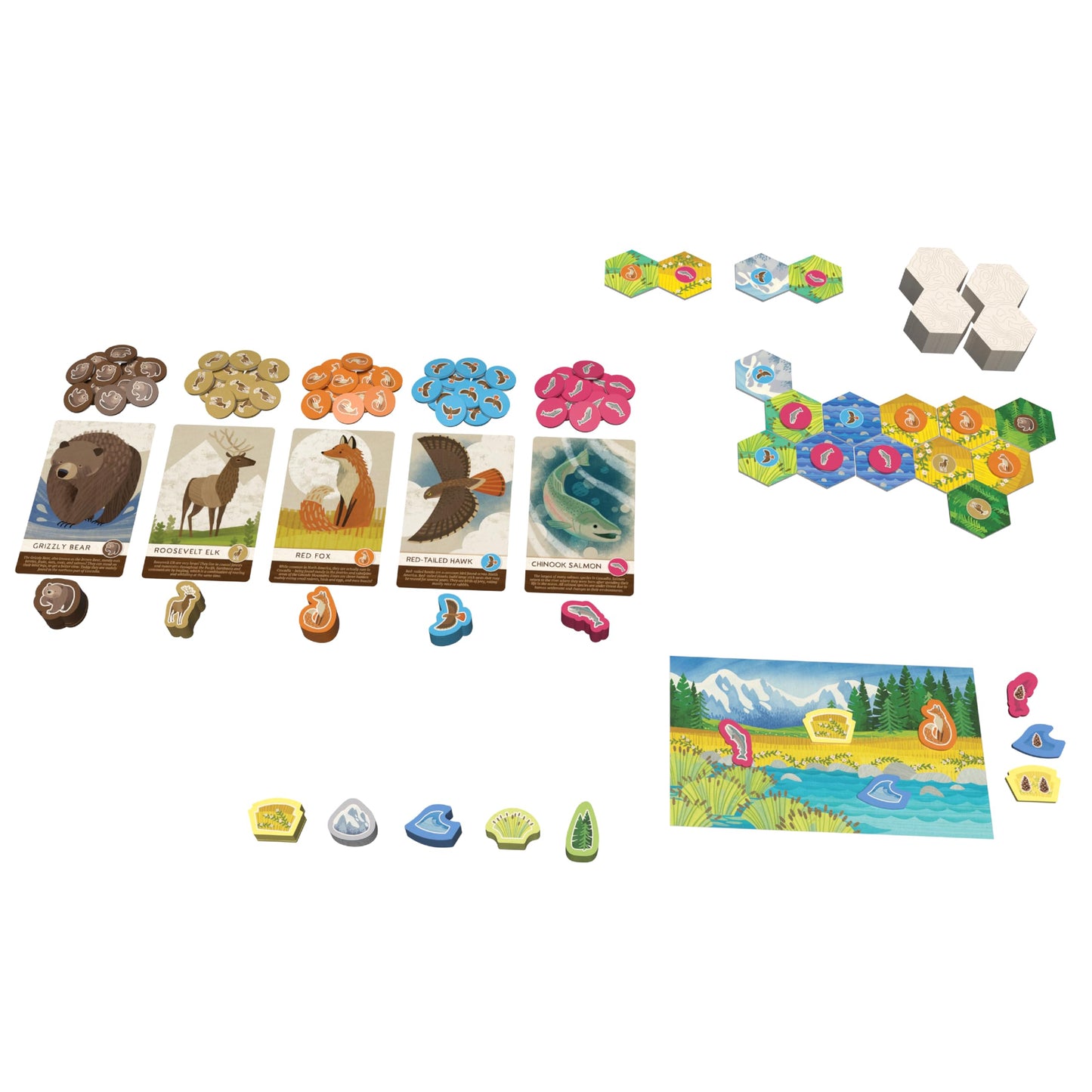 Cascadia Junior Board Game