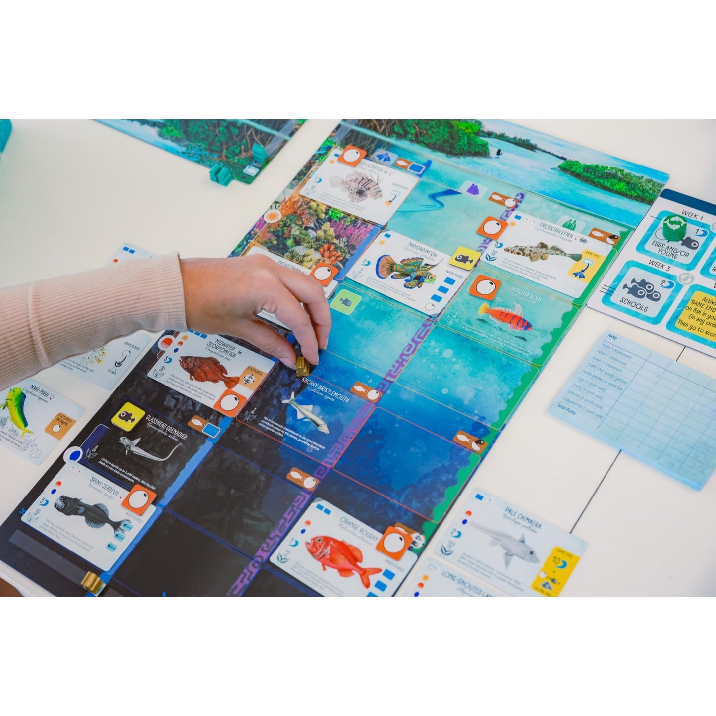 Stonemaier Games Finspan Strategy Board Game About Collecting Fish
