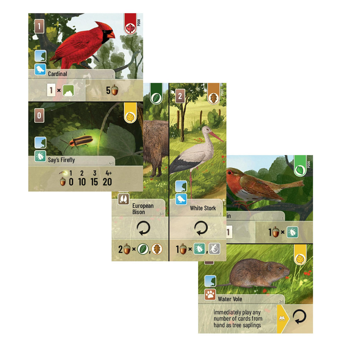 Forest Shuffle Exploration Card Game Expansion