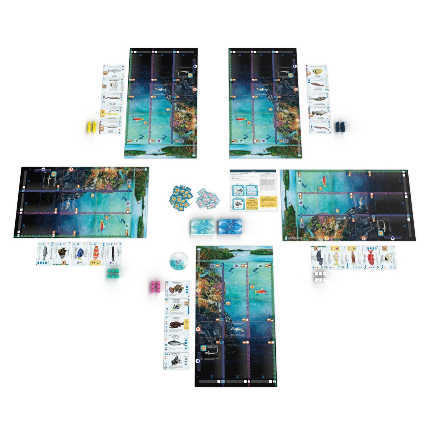 Stonemaier Games Finspan Strategy Board Game About Collecting Fish