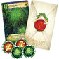 Z-Man Games Lovecraft Letter A Love Letter Card Game