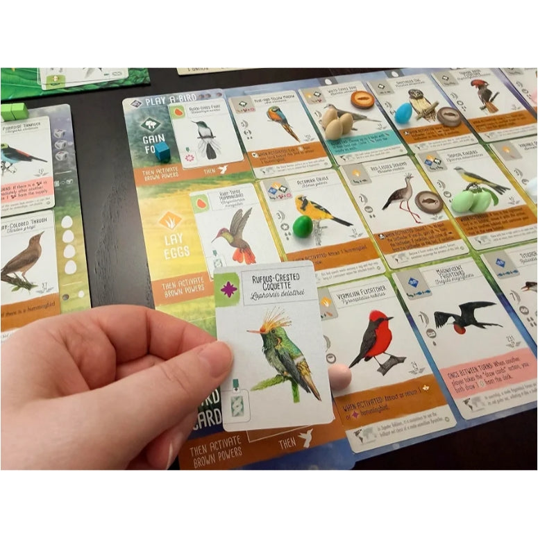 Stonemaier Games: Wingspan Americas Expansion Board Game