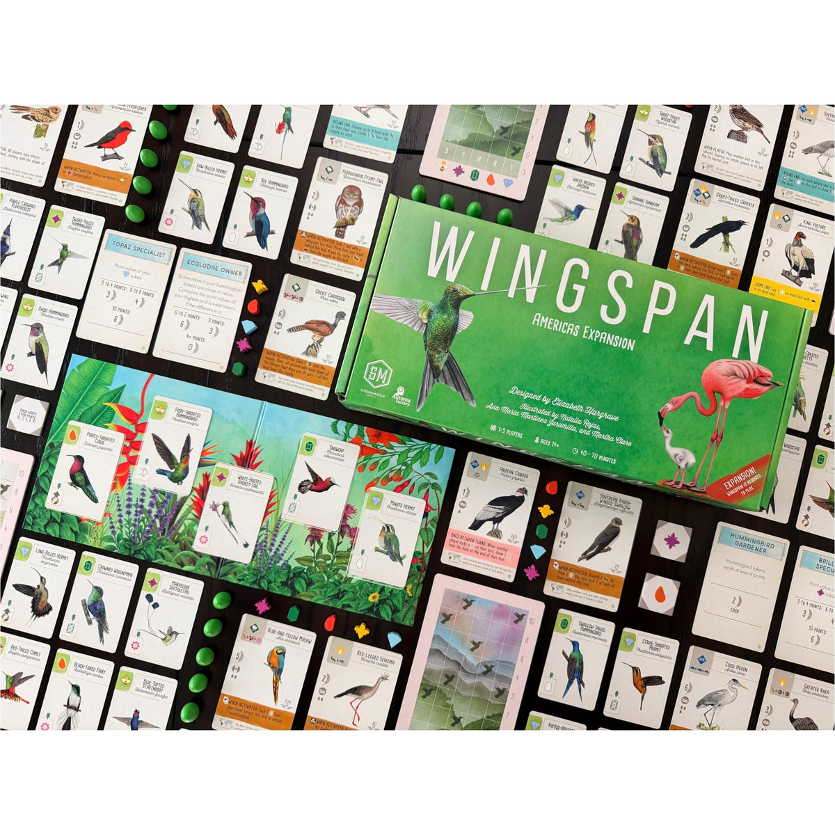 Stonemaier Games: Wingspan Americas Expansion Board Game
