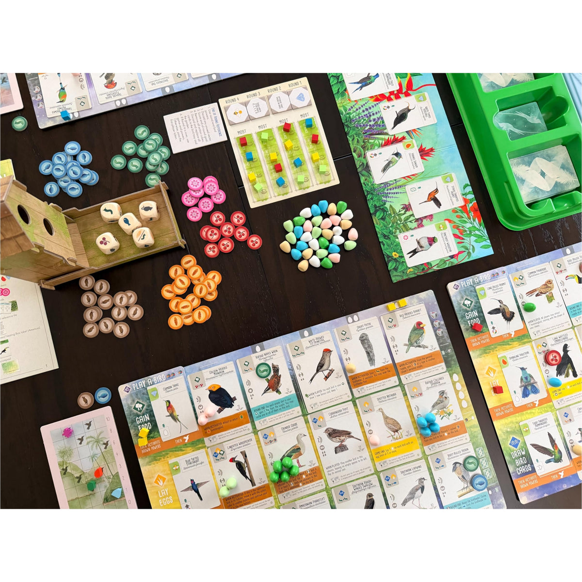 Stonemaier Games: Wingspan Americas Expansion Board Game