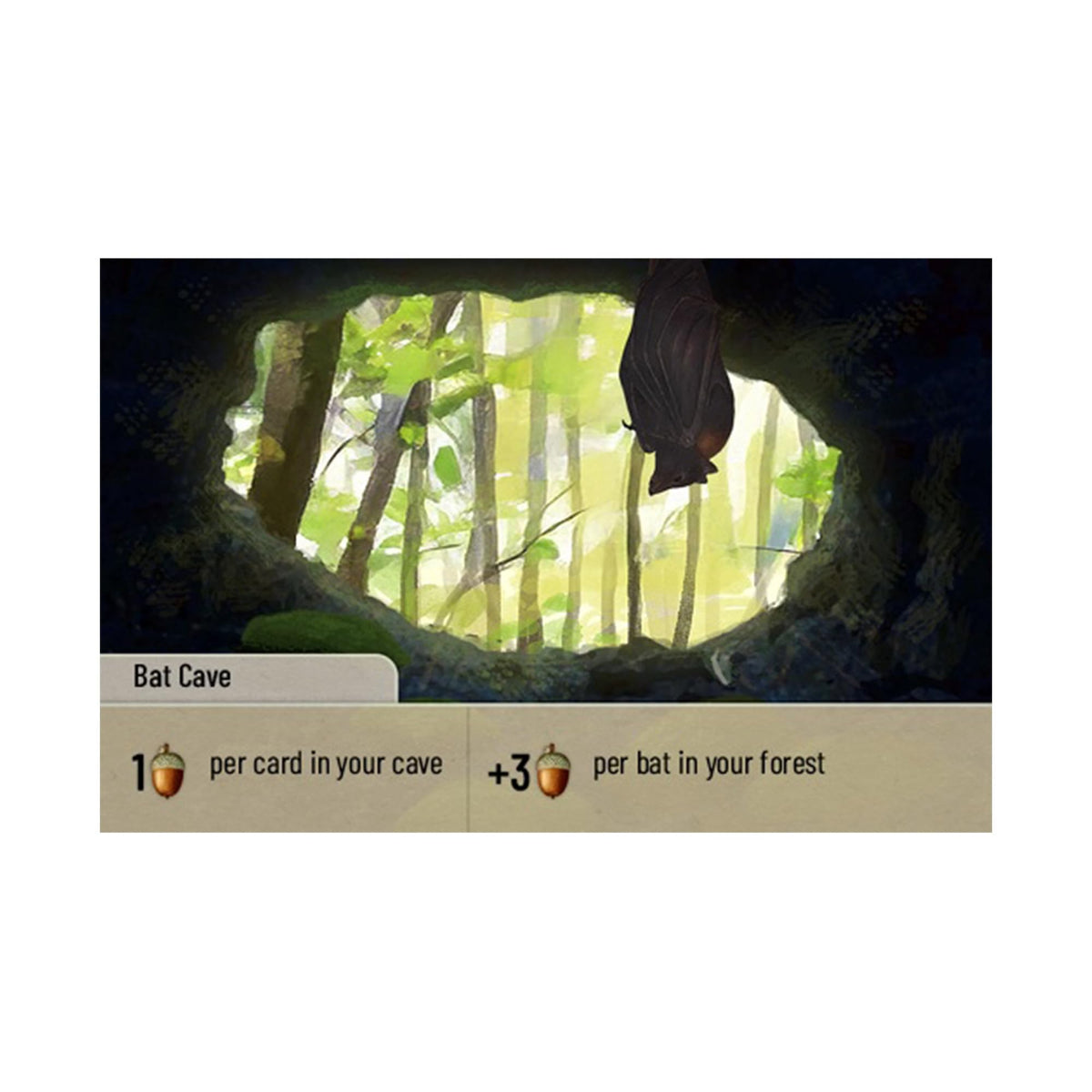 Forest Shuffle Exploration Card Game Expansion