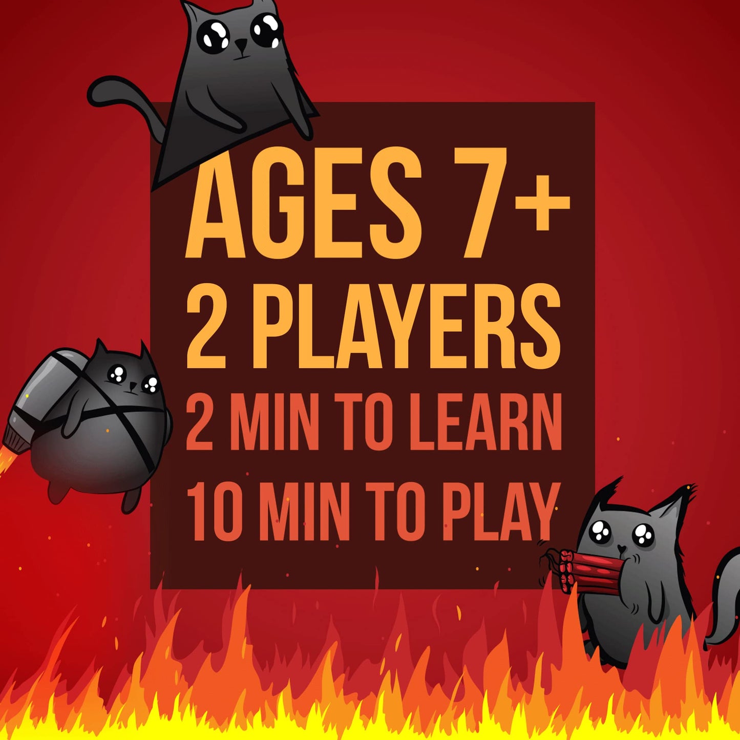 Exploding Kittens 2 Player Edition Card Game