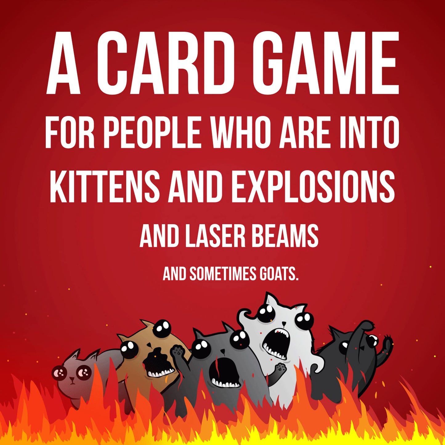 Exploding Kittens 2 Player Edition Card Game