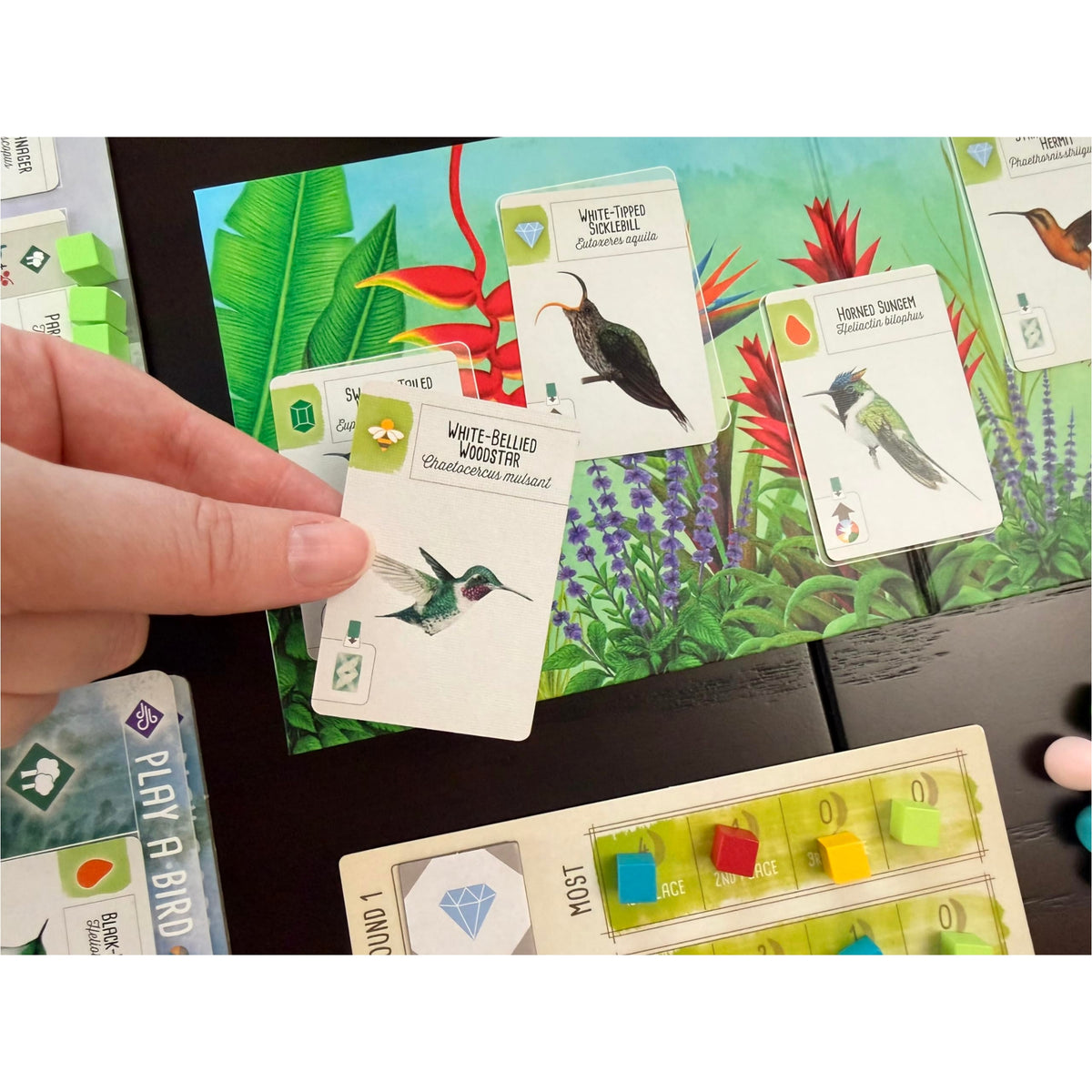 Stonemaier Games: Wingspan Americas Expansion Board Game