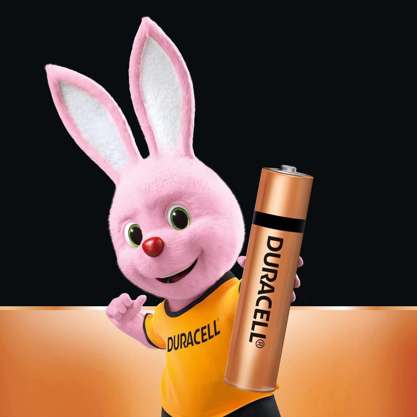 Duracell Alkaline AAA Battery