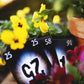 Pandasaurus Games The Mind Family Friendly Board Games