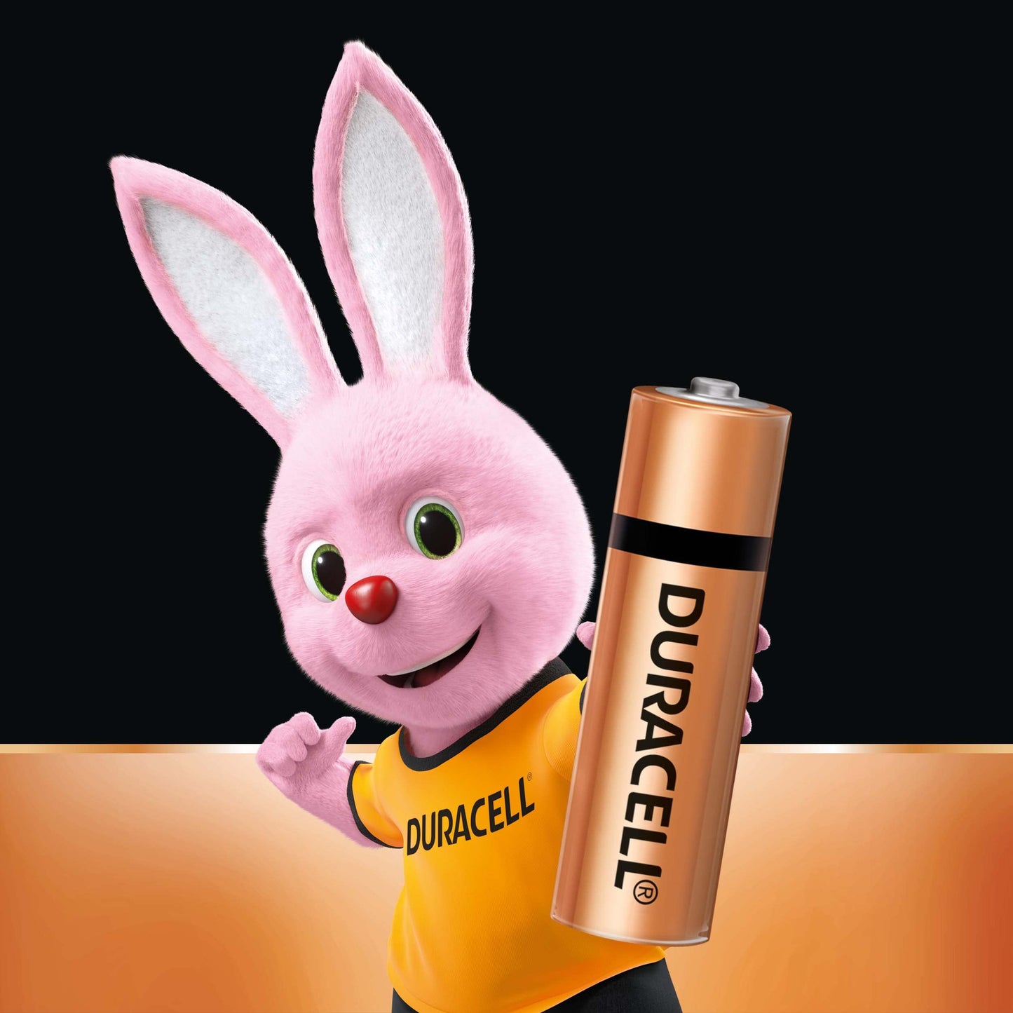 Duracell Alkaline AA Battery