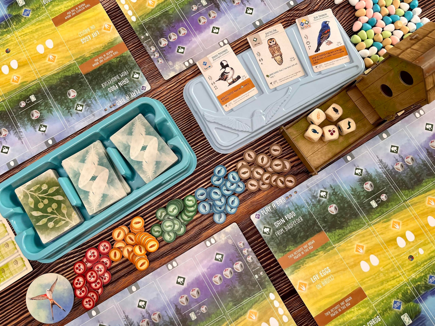 Stonemaier Games Wingspan Wuth Swift Starter Pack Board Game