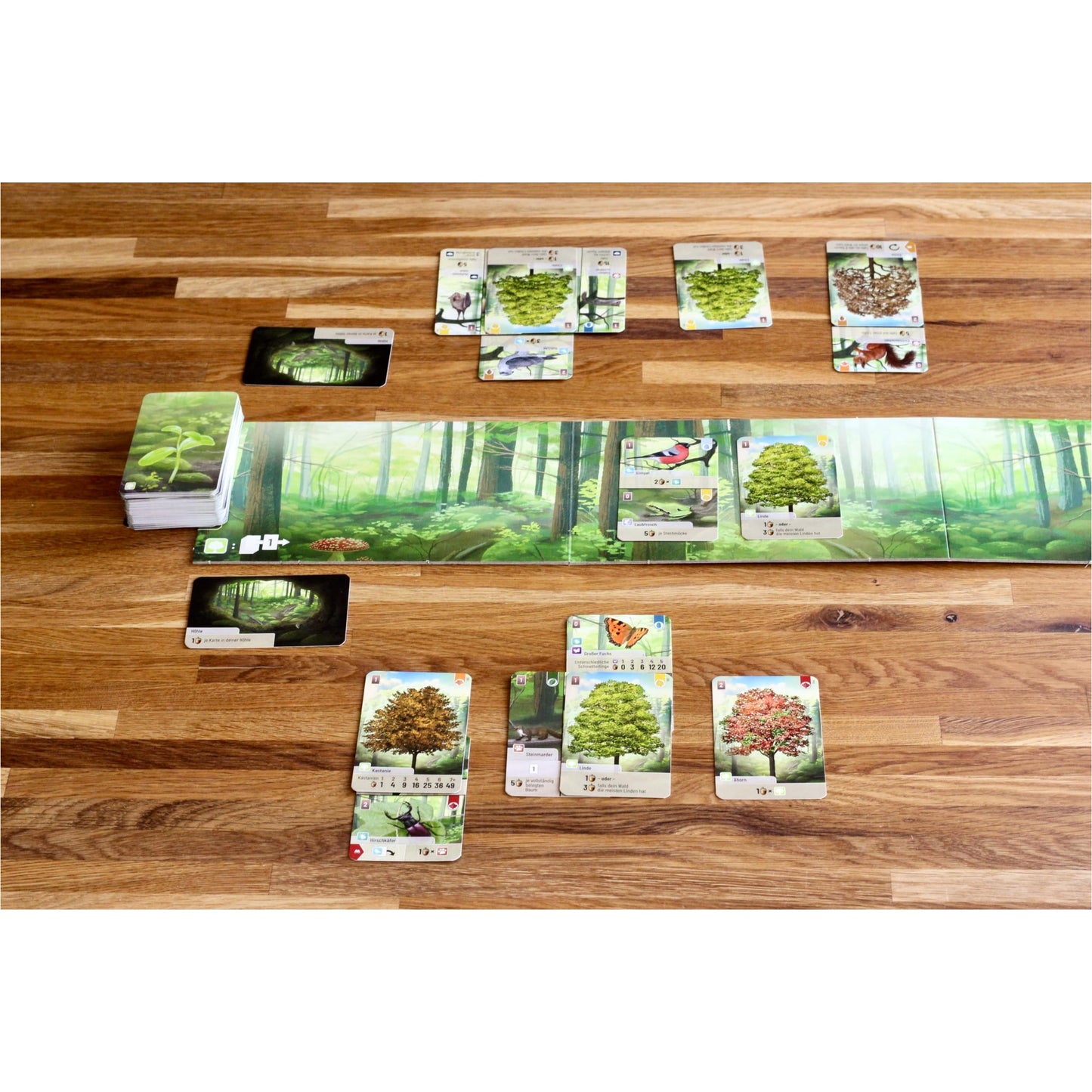 Lookout Games Forest Shuffle Card Game