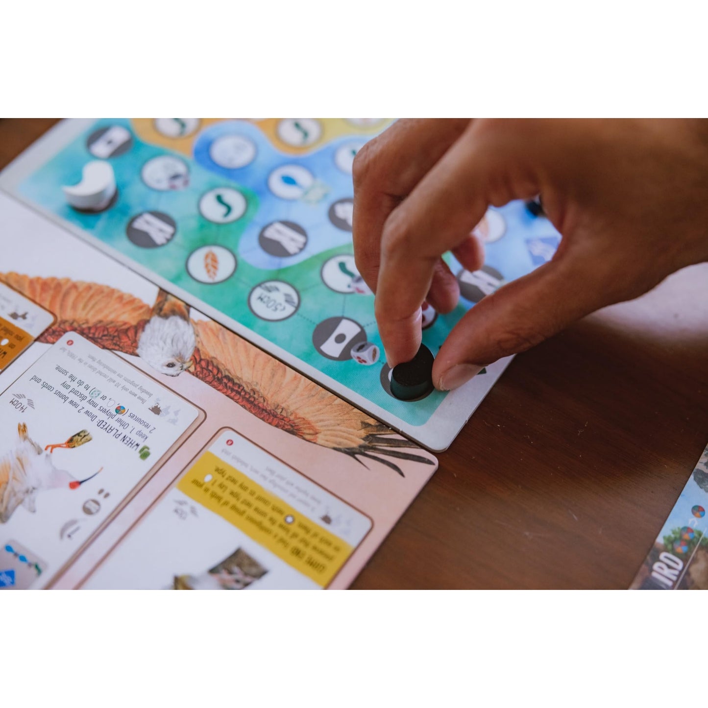 Stonemaier Games Wingspan Asia Standalone Game or Expansion to Wingspan (Base Game) Great for Solo Play or 2 Player Add to Wingspan for 6-7 Player Expansion 1-5 Player