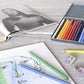 Faber-Castell Polychromos Color Pencil Set - Pack of 12