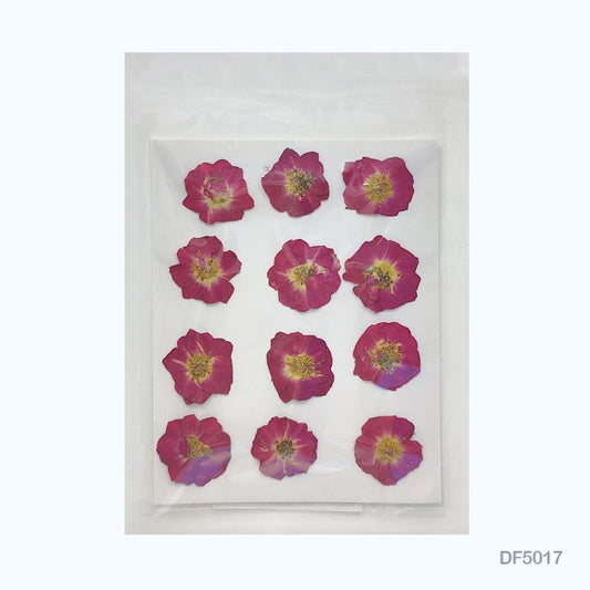 Natural Dried Pressed Flower