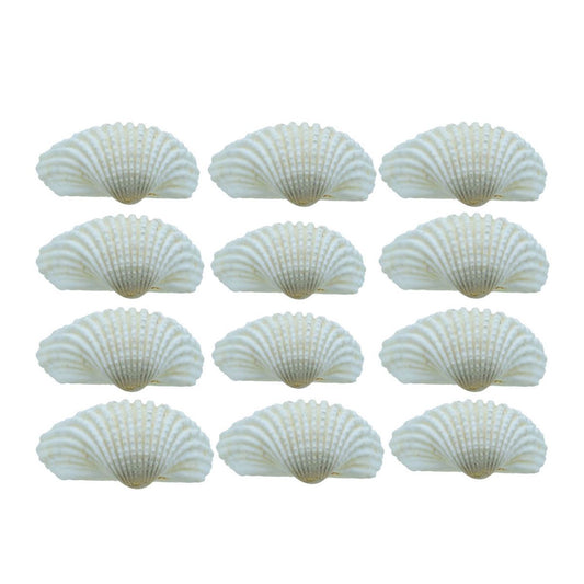 Kakinada Chippi Shells - 100 Grams
