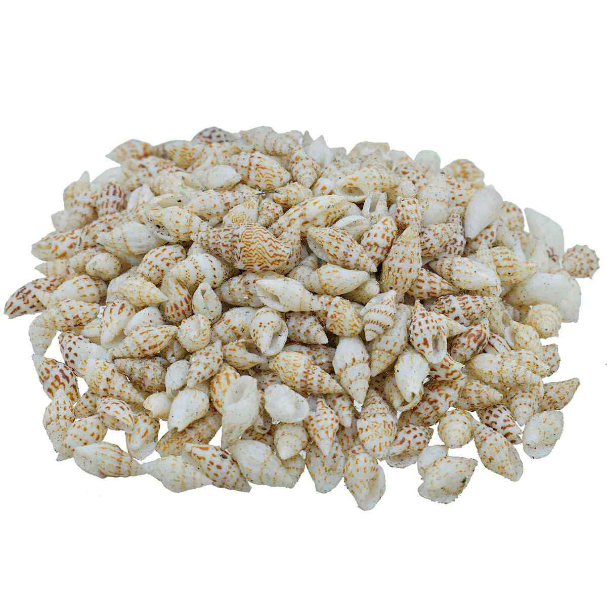 Seashell Dori Sangv Mani - 100 Grams – SATYAM STATIONERS