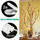 LED String Copper Wire Coin Lights Warm White