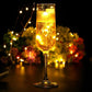 LED String Copper Wire Coin Lights Warm White