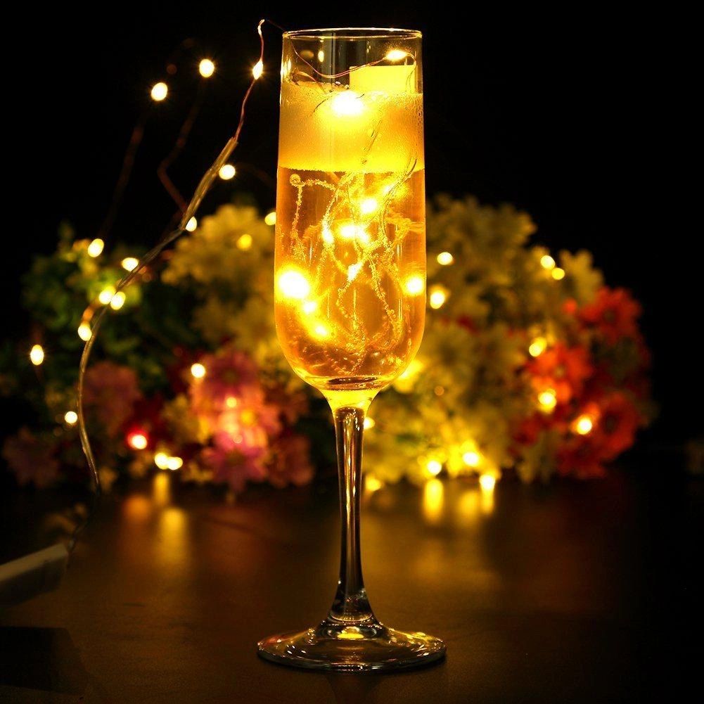 LED String Copper Wire Coin Lights Warm White
